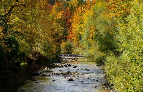 Ferienwohnungen Hollweger inkl. Chiemgaukarte - Foto 8