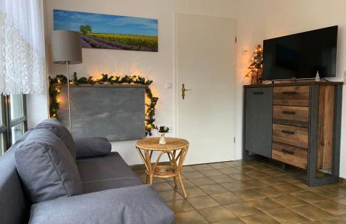 Ferienwohnungen Elsterblick Bad Elster - Foto 11