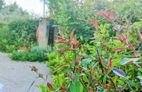 Evilion house inTholo. Sea, nature, relaxation! - Foto 54