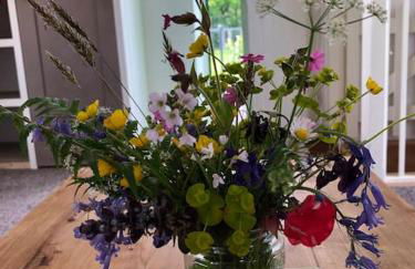 The Annexe - Photo 18