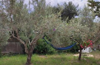 Delux apartments Villa Mihaela - Foto 58