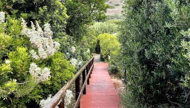 Villa vista mare a Bosa - Foto 3, Garden