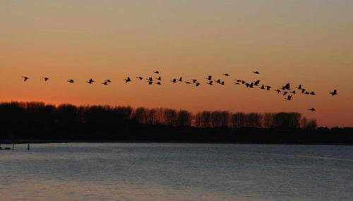 Herrenhaus Blengow App.04 - Foto 2