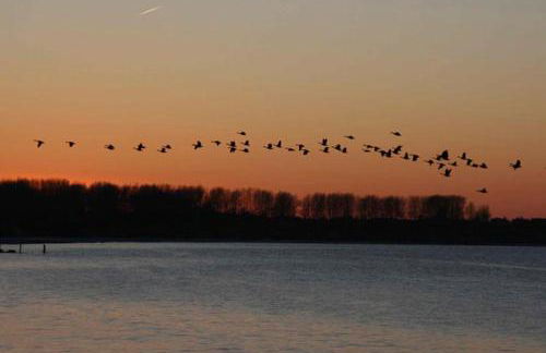 Herrenhaus Blengow App.06 - Foto 13