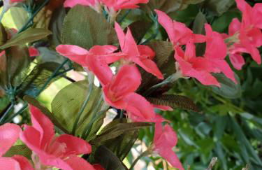 Ferienhaus Haus Herzog - Foto 71