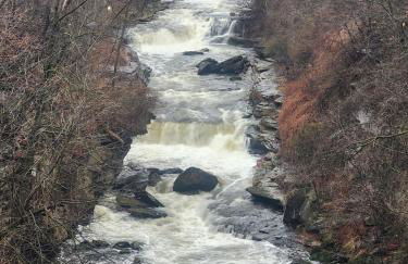 Tree House 6 bedrooms, 2 blocks from everything - Foto 15