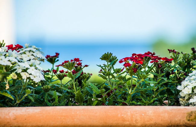 Amboula Beach Apartments - Foto 53