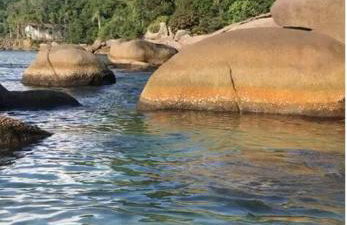 Condomínio Eliliane - Cobertura em Canto Grande - Foto 26