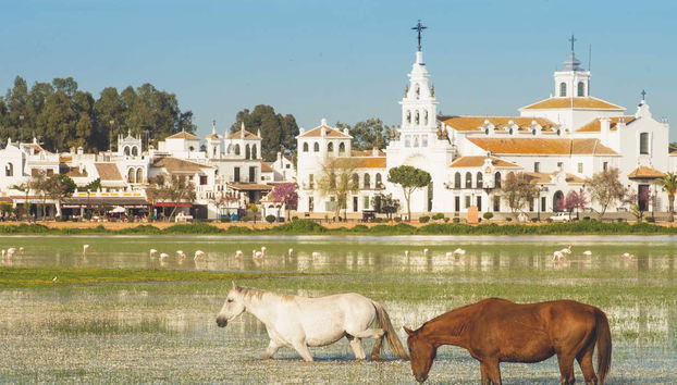 Tour en 4x4 por el Parque Nacional de Doñana - Foto 5