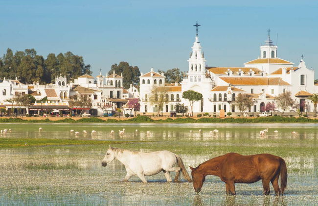 Tour en 4x4 por el Parque Nacional de Doñana - Foto 5