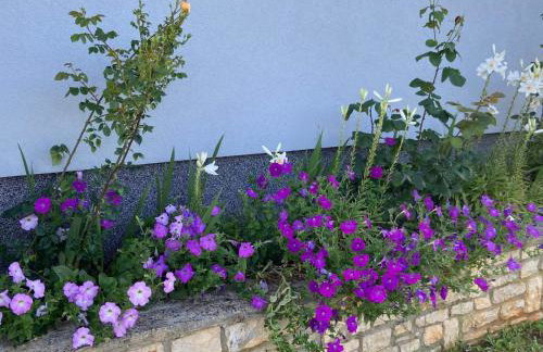 Holiday Home Mihaela - Foto 55