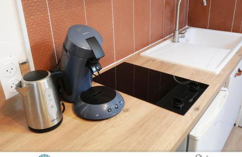 Locations du Grand Pont - Appart hôtel Poitiers - Futuroscope - Foto 58