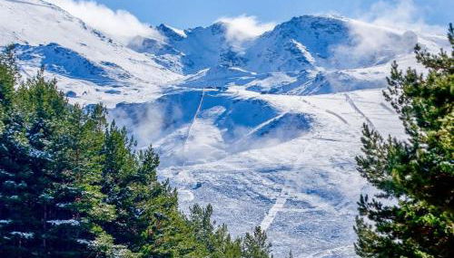 Camino de la Sierra Parking y Mascotas - Foto 4