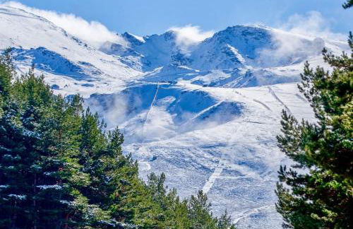 Camino de la Sierra Parking y Mascotas - Foto 4
