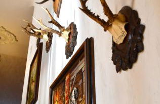 Le Gîte de l'Ecureuil - Foto 24