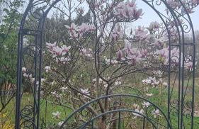 Altmarkblick - Foto 26