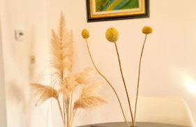 Villa Aleksandar Porec - Photo 24