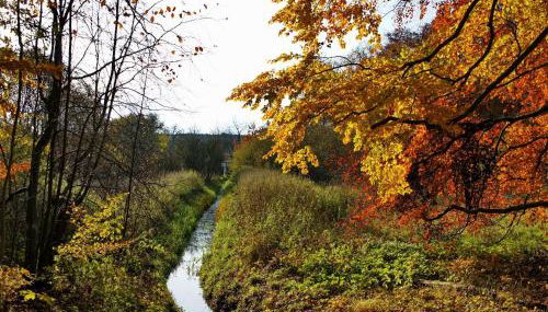 Chalet, Wendorf - Photo 3
