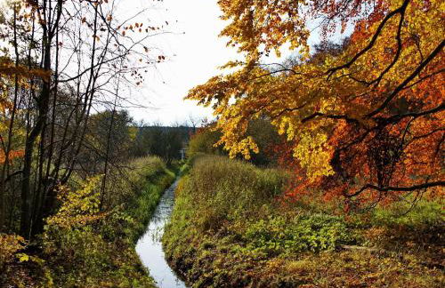 Ferienhaus , Tanne - Foto 16