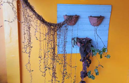 Casa da Flor - Photo 23