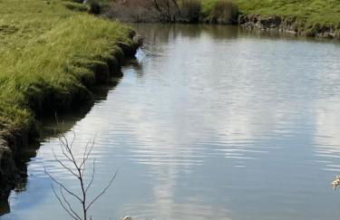 La Maison des Marais de Sallertaine - Foto 45