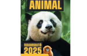 La Georginette - Foto 48