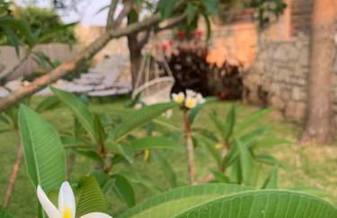 Seafront Villa Blue Agave - Photo 6