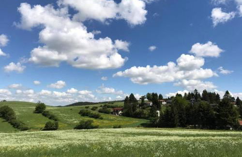 Holiday Home am Weiher by Interhome - Foto 23