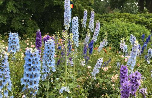 Familienhaus - Foto 25