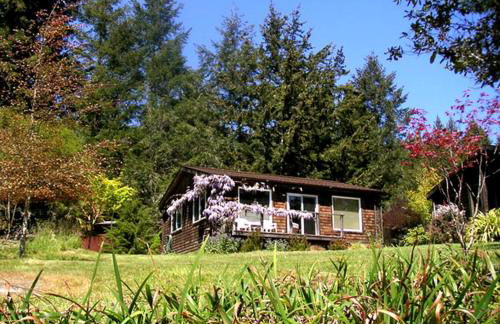 Rural Vacation Cottage near the Coast and the Town of Albion in Northern California - Foto 17