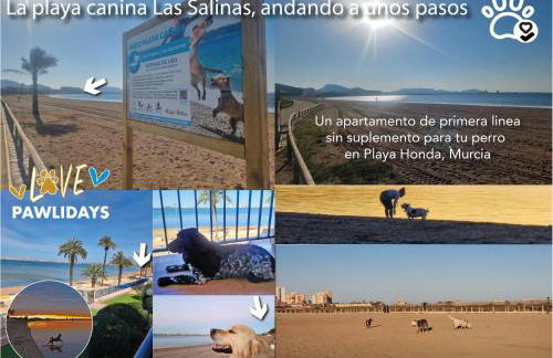 ShoreHouse Verdemar Dos Primera linea Playa Honda - Foto 27