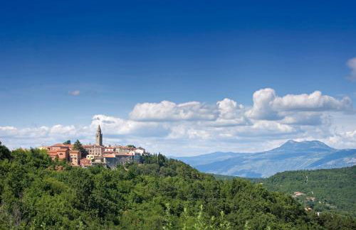 Roinizza in Prtlog (Haus für 4-5 Personen) - Foto 32