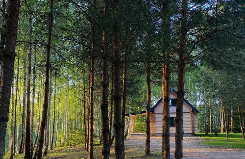 Leśne Klimaty - Foto 1