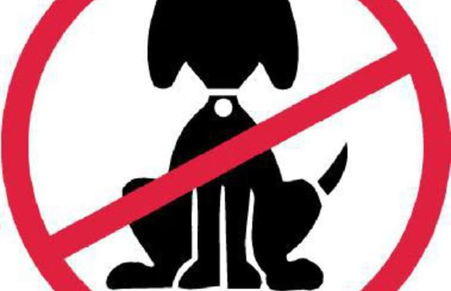 Birch 18 With Hot Tub, Newton Stewart - Photo 22