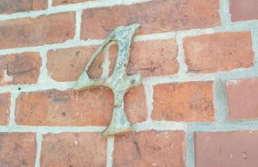 Krötenhof Barförde - Foto 38