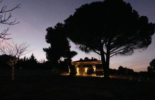 El Rodenal Casa Rural - Foto 33