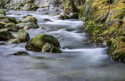 Entre Os Ríos - Casa Rural y Enoturismo - Foto 77