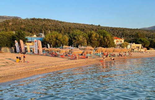 Panos Studios - Foto 27