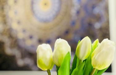 Meliora Suites - Foto 10