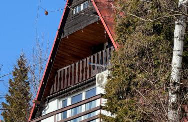 Willa pod Żarem - Foto 15