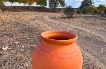 Quinta Monte da Azinheira - Foto 21