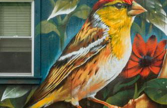 Mural Art Cabin With Pond And Hot Tub - Foto 13