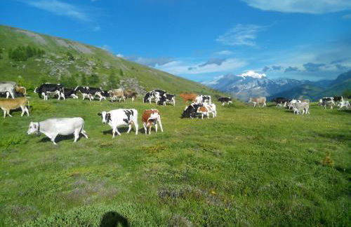 Agriturismo Raethia - Foto 62