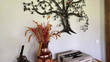 Casa Trasgu de Tornín-Cangas de Onís- Enjoy life in Asturias - Foto 4