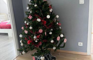 Au petit Logelbach - Foto 8