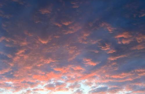 K4 Kudhva Treehouse Cabin With sea View - Foto 28