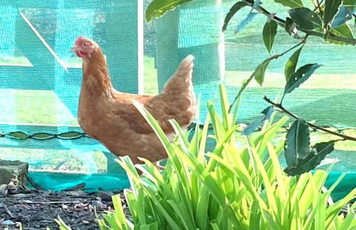 2 Bed in Bude oc-00952 - Foto 24