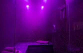 Zambelis Athens Penthouse Spa - Photo 24