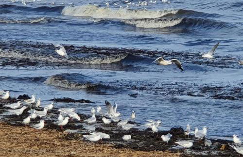 Chalet ALOHA - Photo 31