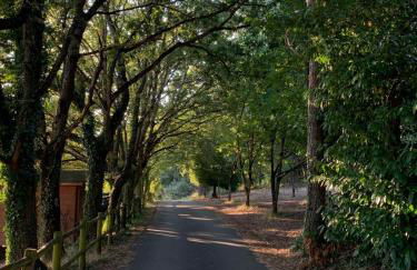 Casa Rural Santa Mariña - Foto 31